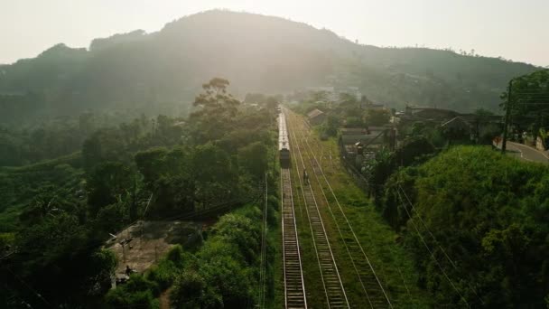 旅行者は緑茶プランテーションで静かな旅を体験します 朝の太陽は 豊かなセイロン山を走る風光明媚な列車に乗っています 鉄道トラックは 伝統的なスリランカの村を越えた風 — ストック動画