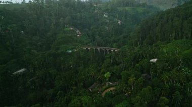 Yeşillik tarihi demiryolunu, taze sabah banyosu ikonik yapıyı sarar. Sri Lanka 'da güneş doğarken İHA 9 kemer köprüsü. Ormanın ortasında antik viyadük üzerinde yürüyen hava yaklaşım turistleri.