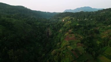 Orman, sisli tepelerin arasında çağlayanlar. İnsansız hava aracı Ella şelalelerinin, Sri Lanka 'daki yeşil dağların üzerinden uçuyor. Eko-seyahat rotası, yürüyüş yolları doğa severler. Uzak Asya vahşi doğası, sakin manzarası.