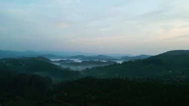 Bulutlar dağlık araziyi çay tarlalarının arasına sürüklüyor. Şafak vakti sisli Haputale dağlarının hava aracı görüntüleri. Sakin, sakin tepeler Sri Lanka 'nın gür kırsalında sislerin üzerinde yükseliyor..