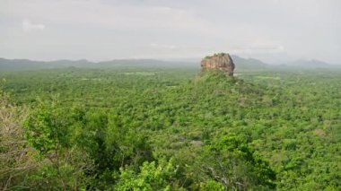Üstte antik kale, altta yeşil manzara. Panoramik video, Sri Lanka 'daki görkemli Sigiriya Kayası' nın zengin ormanlarla çevrili olduğunu gösteriyor. Gökyüzü açık, doğa sakin turistler, tarih meraklıları.