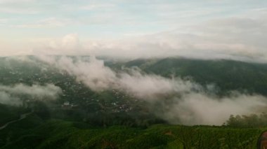 Sis bulutu yeşil tepelerin, çay tarlalarının üzerinde asılı duruyor. İnsansız hava aracı güneş doğarken Nuwara Eliya üzerinde uçuyor. Sabahın ilk ışıkları şehre, dağlara vurur. Huzurlu, uçsuz bucaksız manzara, seyahat ve doğa projeleri için mükemmel..