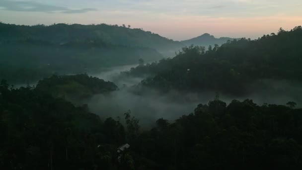 緑豊かな熱帯林を通して日光が輝きます 夜明けは スリランカのエラ山脈を破壊する 自然愛好家 旅行者は穏やかな風景を見つける 早朝の光浴 静かなバレー — ストック動画