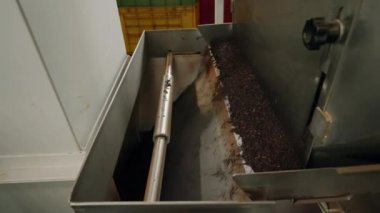 Taşıyıcı bantlar ambalaj için kurutulmuş çay yaprakları. Modern fabrikada otomatik çay işleme makineleri. Üretim hattındaki endüstriyel ekipmanlar çay hazırlığını düzene sokuyor. Yavaş çekim.