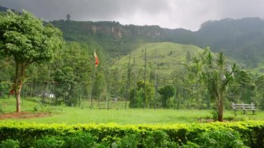 Doğa aşıkları doğa zenginliği olan patikaları keşfederler. Nefes kesici Sri Lanka manzarası, çay dağları serinletici çiseleme. Organik tarım, dağlık arazilerde uygulanır. Huzurlu kırsal alan, canlı bitkiler.