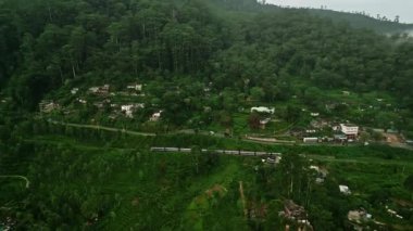 Parlak tarlaların yanında demiryolu örülürken bulutlar yuvarlanan tepeleri kucaklıyor. Haputale 'deki yeşil çay bahçelerinden geçen tren yılanları. Sri Lanka 'nın sakin manzarasını sis kaplıyor, antika köyleri saklıyor.