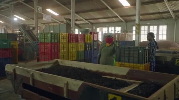 2023 Ramboda Sri Lanka Bluefield Tea Factory Authentic Black Tea — Vídeo de Stock