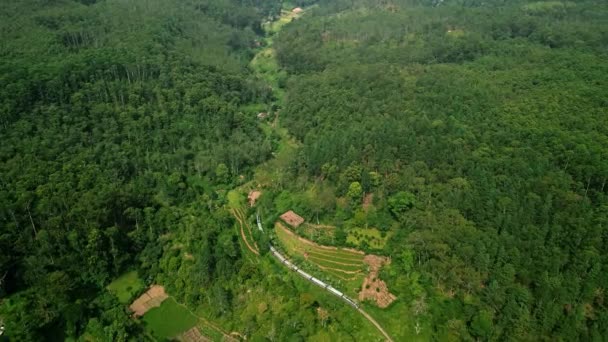 Rail Dense Tropical Forest Alongside Farms Rural Hotels Ella Drone — Αρχείο Βίντεο