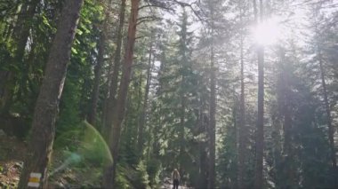 Kadınlar yazın orman yolunda yürür. Sırt çantalı bir yürüyüşçü doğayı keşfediyor. Dişi turist ağaçların arasında yürüyor. Macera ve aktif yaşam tarzı, dağlarda. Yavaş çekim.