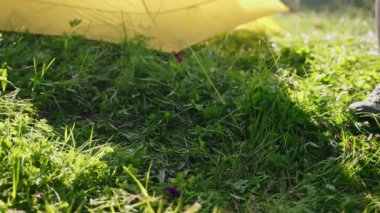 Kadın, çadırın yanına taşınabilir mini gaz sobası ve esrar kuruyor. Işıkları da çakmakla yakıyor. Açık hava yemek pişirme gezisi ve ultra hafif teçhizat. Doğadaki macera. Yavaş çekim.