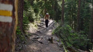 Dağlarda yürüyüş yapan bir kadın, yazları orman. Sırt çantalı bir yürüyüşçü ağaçların arasında kayalık yolda yürüyor. Aktif yaşam tarzı, doğa keşfi. Kız açık hava macerasından zevk alıyor. Yavaş çekim.