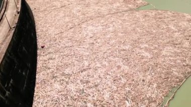 Büyük kütük reçelinin havadan görüntüsü. Birikmiş ağaç dalları, yüzen ahşap döküntüleri su yüzeyini kaplıyor. Baraj yakınlarında sanayi bölgesi. Çevreye etki eden su yolu tıkandı. Büyük ölçekli doğal fenomen.