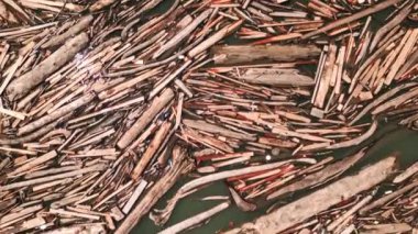 Kütük reçelinin hava görüntüsü. Suda sürüklenen odun yığını. Nehirde büyük bir odun yığını var. Doğal bir engel. Çevresel meydan okuma. Erozyon çarpması, ormanlık alanda. Ekoloji kaygısı. İHA