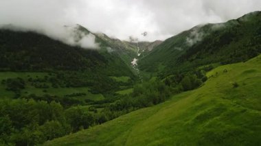 Svaneti dağlarında bir dağ çayırı, zengin bitkiler, arka planda sisli dağlar. Sahne huzur dolu doğayı, huzur dolu yalnızlığı, açık havada keşifleri gösteriyor. Seyahat için ideal, macera, özgürlük, rahatla.