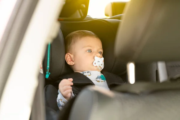 stock image Portrait of a baby in the car seat with a pacifier
