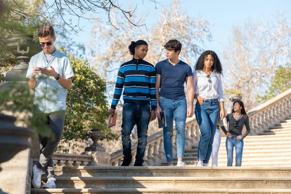 Group of young university students walking on some stairs