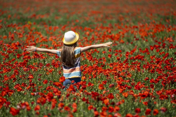 一个戴着帽子 举起胳膊的小女孩正穿过一片布满红花的田野 — 图库照片