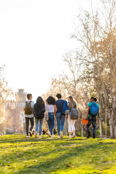 Ряд Молодых Многонациональных Студентов Гуляющих Вместе Парке Вид Сзади Стоковое Фото