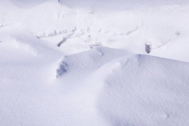 Gün boyunca kar yağışı üzerine kar yağışı, soğuk iklim, anormal kar yağışı; yakın çekim, yatay kar