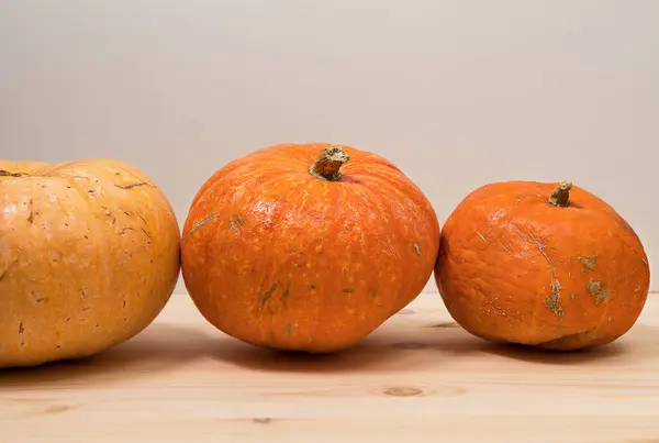 Three yellow-orange pumpkins standing in a row on a wooden tabletop, Halloween concept, autumn pumpkin harvest, horizontal, close-up, side view, copyspace