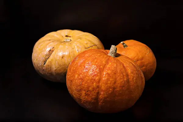 Three yellow-orange pumpkins on a black background, the concept of Halloween and the autumn harvest of pumpkins, horizontal, side view, close-up, copyspace