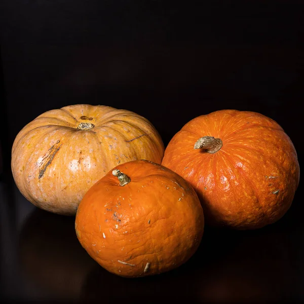 Three yellow-orange pumpkins on a black background, the concept of Halloween and the autumn harvest of pumpkins,side view, close-up, copyspace from above