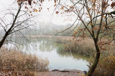 Sarı, turuncu ve kırmızı tonlarda canlı yaprakları yansıtan sakin bir sonbahar gölü. Sis, sakin suların üzerinde nazikçe asılı duruyor ve doğada sakin ve güzel bir manzara yaratıyor..
