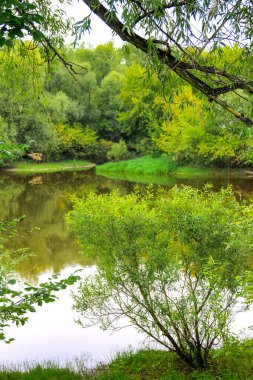 Bereketli yeşil ağaç yaprakları, sakin bir yaz günü, sakin bir nehrin üzerinde, durgun dalgalı sular, çeşitli yaprak döken ağaçlarla karşı kıyılar, huzurlu ve sakin bir doğal manzara yaratıyor..