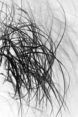 Işıkla aydınlatılmış, arka planda saç benzeri çimenlerin negatif görüntüsü. Geçmişe dönük bir his, yumuşak bir bakış. Arkaplan ya da tasarım ögeleri için mükemmel.