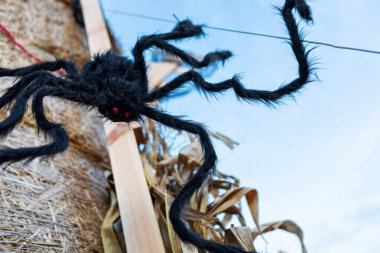 A large, black, hairy spider with red eyes is perched on a brown hay bale. The spider is in focus, and the background is slightly blurred. The blue sky is visible in the background. clipart