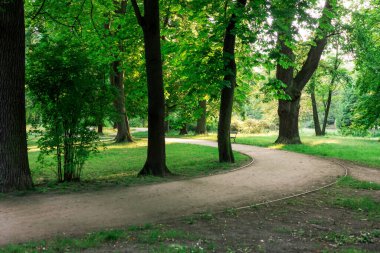 A beautiful park with a winding path leading through lush green trees and a manicured lawn. The park is perfect for a leisurely stroll or a picnic with friends and family. clipart