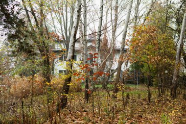 Canlı yaprak döken ağaçlarla dolu sakin bir park. Kırmızı çatılı zarif beyaz bir bina. Düşük açı perspektifi güzelliği arttırır, ağaçlar sonbaharda renkli yapraklar döker..