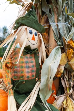 Sonbahar günü bir korkuluk mısır tarlasında duruyor. Korkuluk ekose gömlek, yeşil pantolon ve şapka giyiyor. Yüzünde dostane bir gülümseme var. Mısır uzun ve kuru..