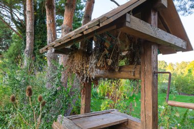 Kırsal ahşap bir kurutma askısı yemyeşil bir bahçede bir demet ot tutar. Batan güneş yeşilliğin üzerine sıcak bir parıltı saçıyor, dış uzayın huzurunu vurguluyor..