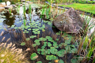 Huzurlu bir gölette bol miktarda nilüfer yaprağı ve büyük bir kayayla tamamlanmış uzun otlar bulunur. Huzurlu ortam, bereketli bir bahçede doğanın güzelliğini sergiliyor..