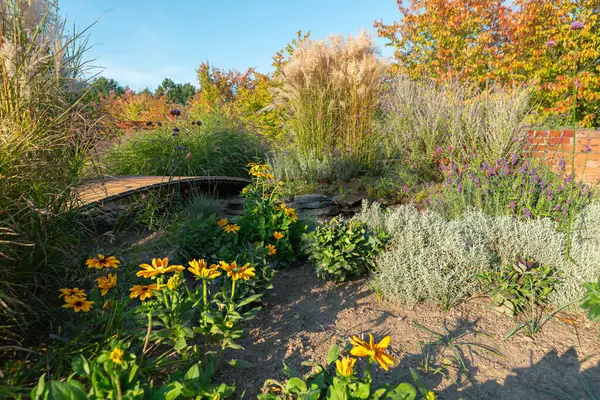 Güzel bir bahçe, yemyeşil ve renkli sonbahar yapraklarıyla çevrili, çeşitli çiçek açan sarı çiçeklere sahiptir..