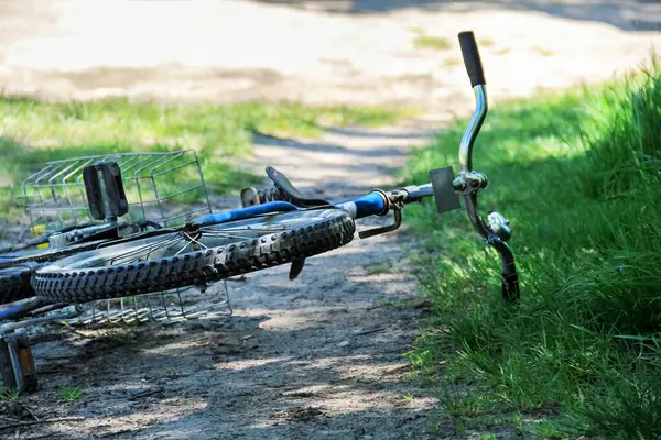 Önünde sepeti olan mavi bir çocuk bisikleti, yemyeşil çimlerin yanında kirli bir yolda terk edilmiş. İyi bakımlı bisiklet yakın zamanda kullanılmış gibi görünüyor..