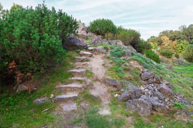Taş basamaklardan oluşan dolambaçlı bir patika yemyeşil ile çevrili kayalık bir tepeye yükselir. Sahne, çeşitli bitki örtüsü ve barışçıl bir atmosferle doğanın huzurunu yakalıyor..