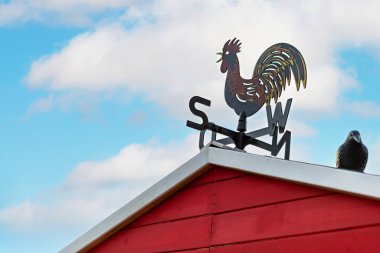 Beyaz çatıda açık mavi gökyüzüne karşı siyah horoz rüzgârgülü ile kırmızı ahşap plaj kulübesi. Rüzgâr gülü, kanatları açık bir horoza sahip ve kıyı manzarasına cazibe katıyor..