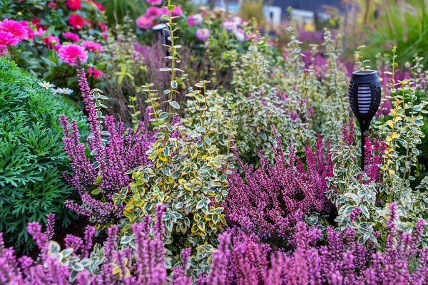 Живописный сад, наполненный множеством ярких цветов и пышной зеленью. Солнечная лампа излучает теплое свечение, создавая спокойную атмосферу идеально подходит для раскрутки и связи с природой красоты.