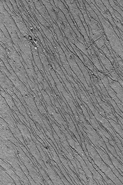 Su ve kum arasındaki etkileşimi gösteren doğal çizgiler ve desenler alçak gelgit sırasında kıyı şeridi boyunca ıslak kumda ortaya çıkar. Dokular rahatlatıcı ama ilgi çekici bir görsel etki yaratıyor..