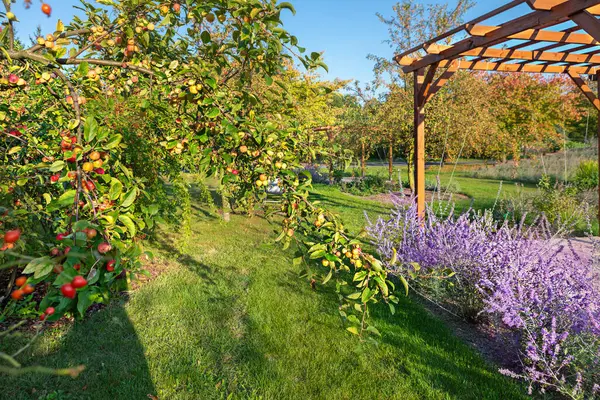 Bereketli bahçede açık mavi bir gökyüzünün altında meyvelerle dolu dallar ve renkli çiçekler bulunuyor. Ayar, rahatlama ve doğa değerlendirmesi için ideal sakin bir atmosfer sergiliyor..