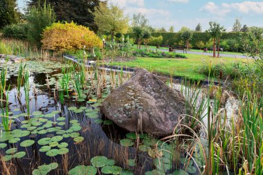 Sakin bir bahçe göleti, canlı bitkiler ve büyük bir kayayla çevrili doğanın sakinliğini yansıtır. Bu dingin ortam, açık hava güzelliğinin rahatlaması ve takdir edilmesini sağlıyor..