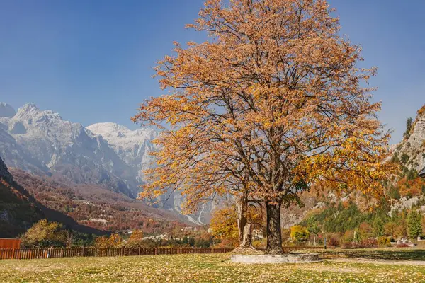 Prachtig Landschap Dorp Alpen Uitzicht Theth Kleine Stad Albanië — Stockfoto