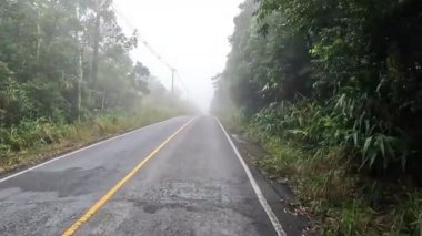 Tayland 'ın Khao Yai ormanında yürüyüş ve koşu. 4k görüntü