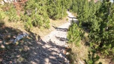 Arnavutluk Valbona Vadisi 'nde Asyalı adam Valbona Geçidi' nde tek başına yürüyüş yapıyor.