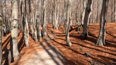 Arnavutluk Valbona Vadisi 'nde Asyalı adam Valbona Geçidi' nde tek başına yürüyüş yapıyor.