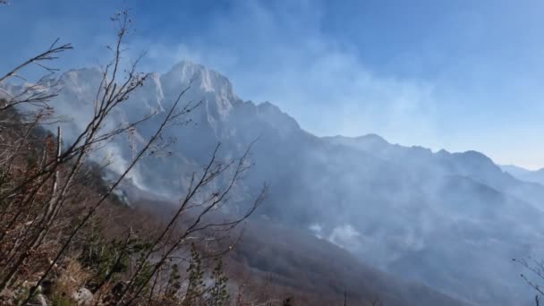 Incendios Forestales Montaña Largo Del Sendero Valbona Albania Imágenes — Vídeos de Stock