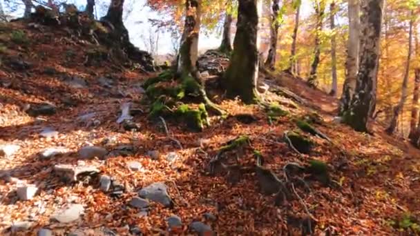 Azjata Samotnie Wędrujący Szlakiem Valbona Pass Dolinie Valbona Albania — Wideo stockowe