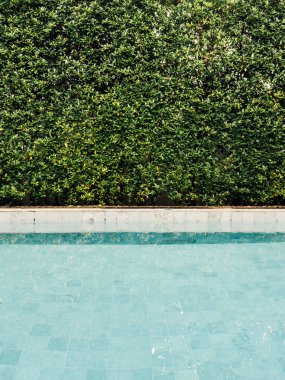 Mavi yüzme havuzu ve yeşil temiz çalı arkaplan görüntüsü.